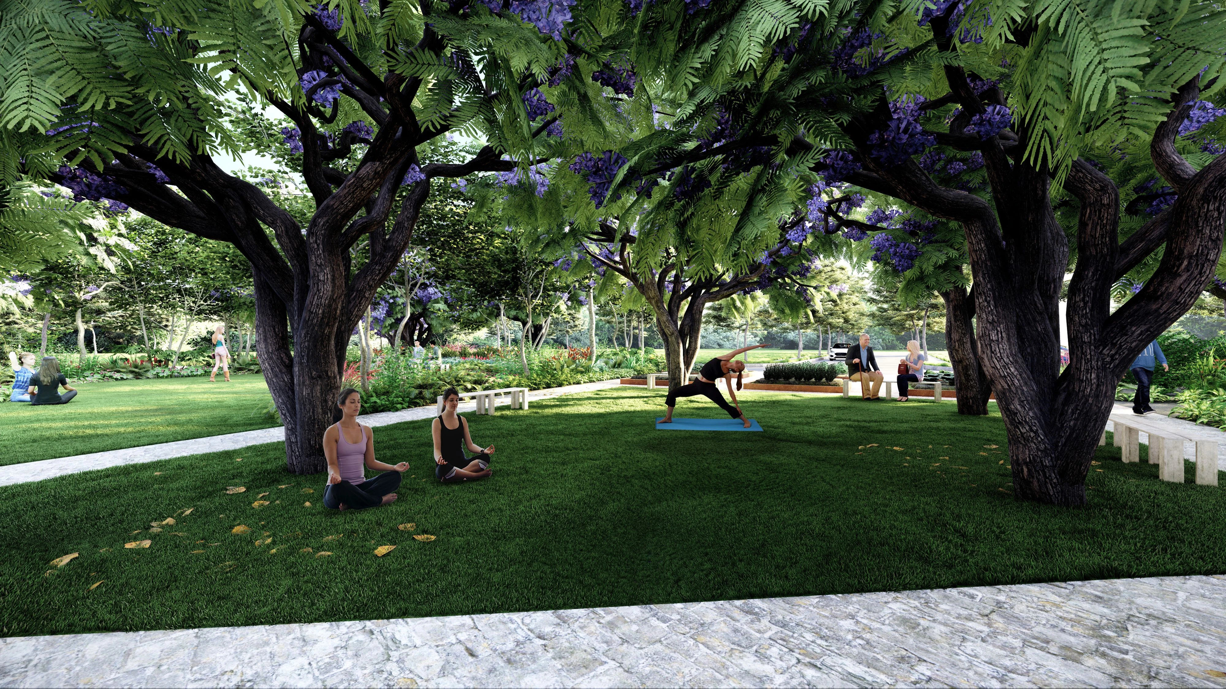 Maple Grove Park Village 5